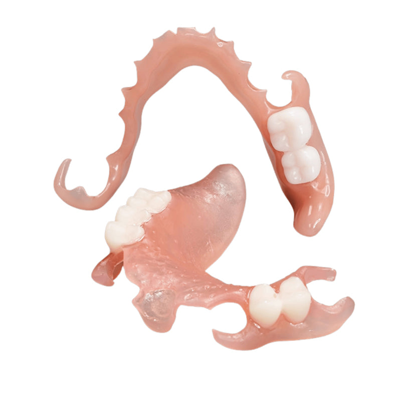 Rodin BioArch RPD