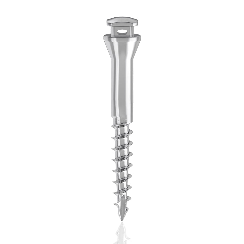 Spider Screw Zigomatica