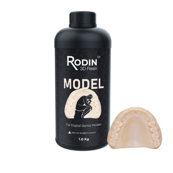 Rodin Model Resin