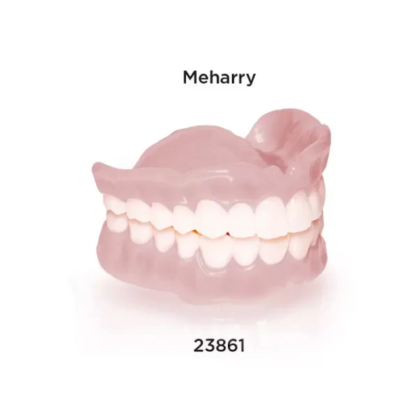 Rodin Denture Base 2.0 Meharry